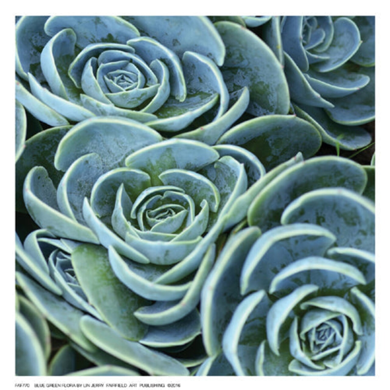 Framed Art Blue Green Flora by Linjerry - Modern Abstract Botanical for Home Décor